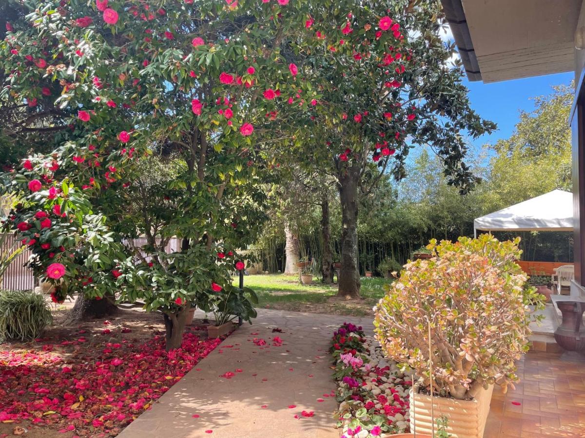 Appartamento In Villa Con Giardino Vicino Al Mare Bella Farnia Exterior photo